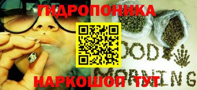спайс Новодвинск