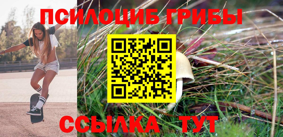 Псилоцибиновые грибы Psilocybine cubensis  Вход с VPN  Углич 